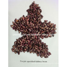 Chinese Purple Speckled Kidney Beans